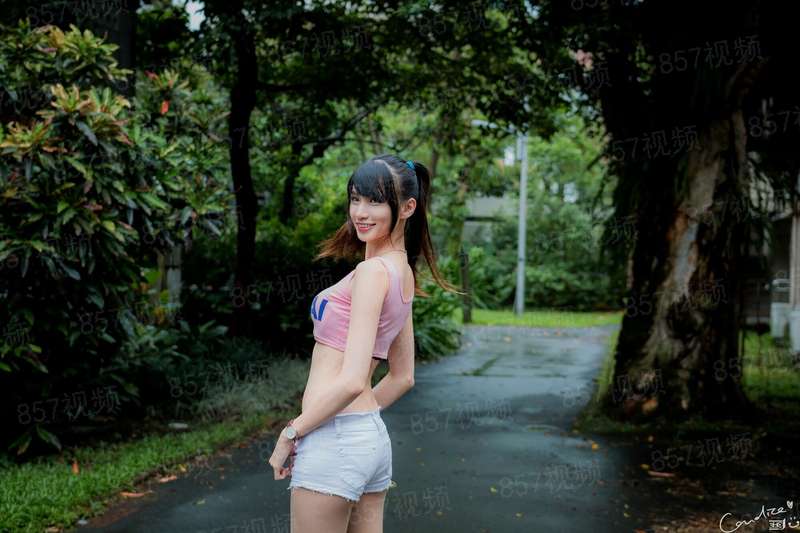 护花总裁