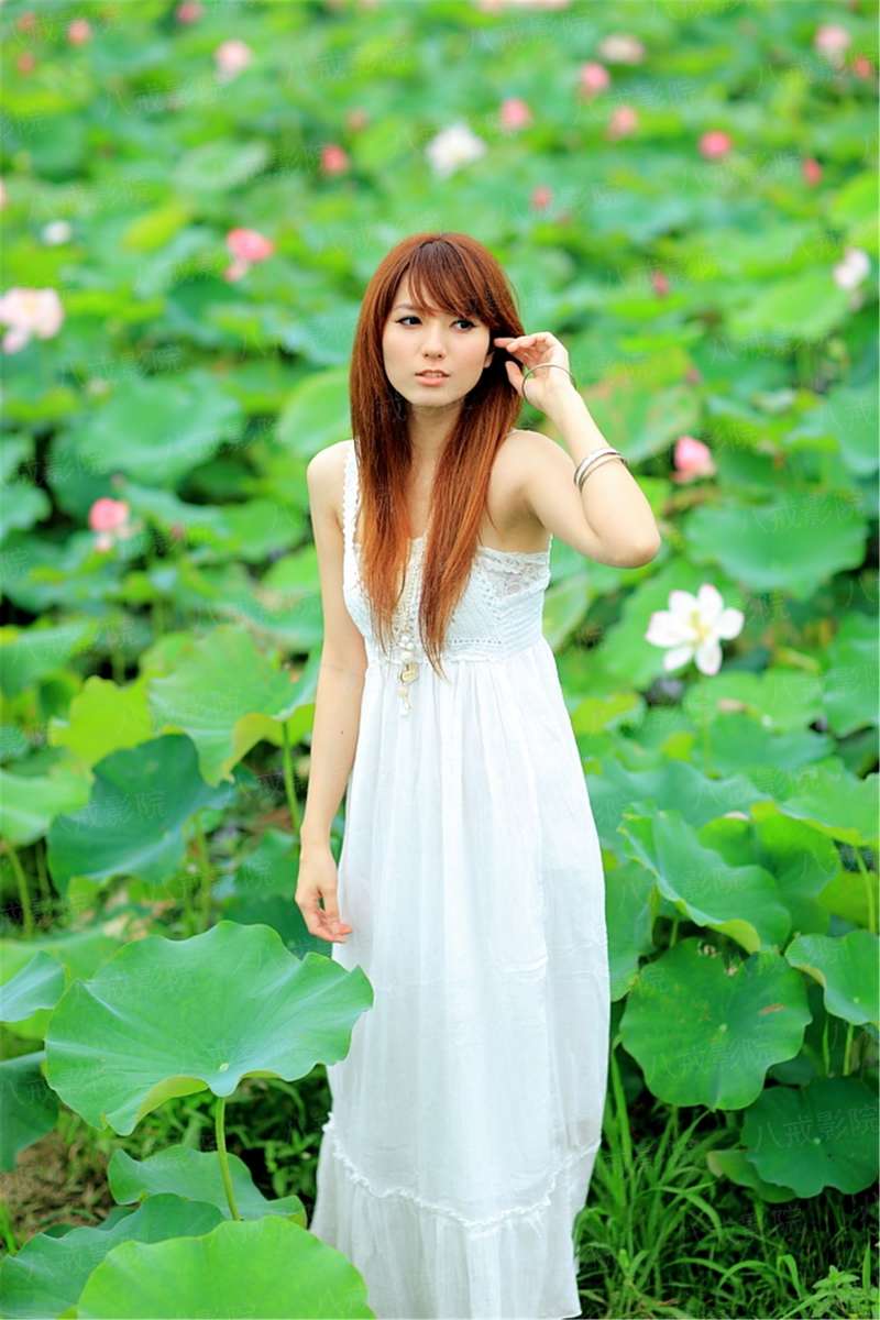 医武龙王江辰叶静怡