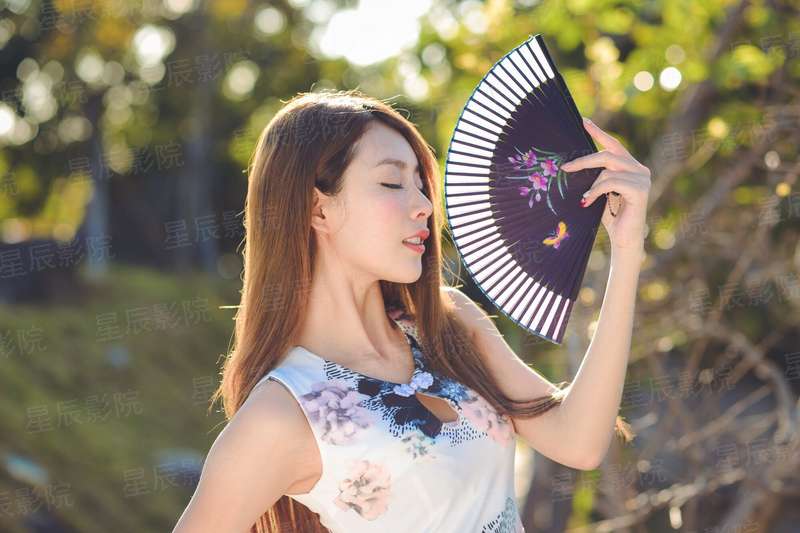 龙血战兵