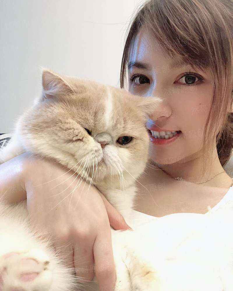魔术技法