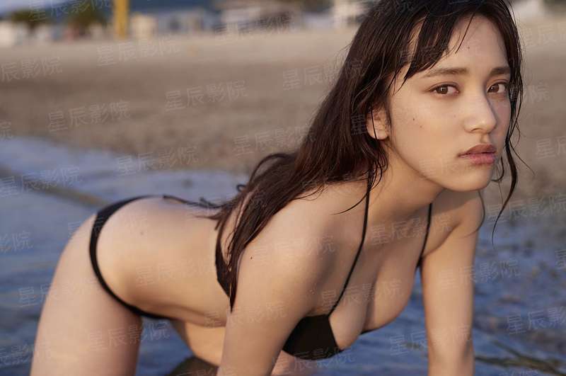杀手总裁擒情记