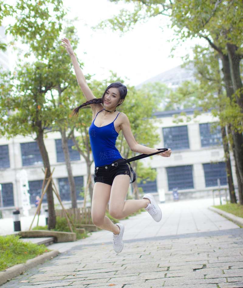 驯龙宝典