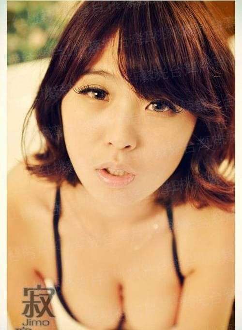 繁花逐叶：恶狼花少绵羊妻