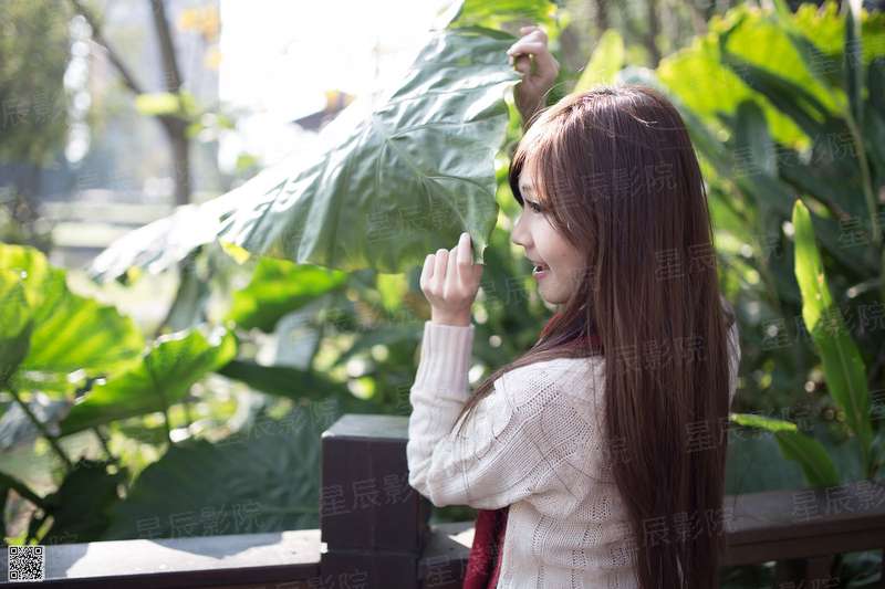 开云苹果网站在哪里