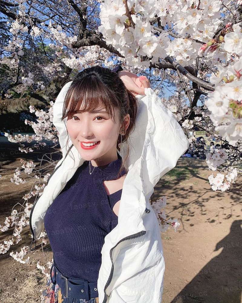 我真的不懂剑