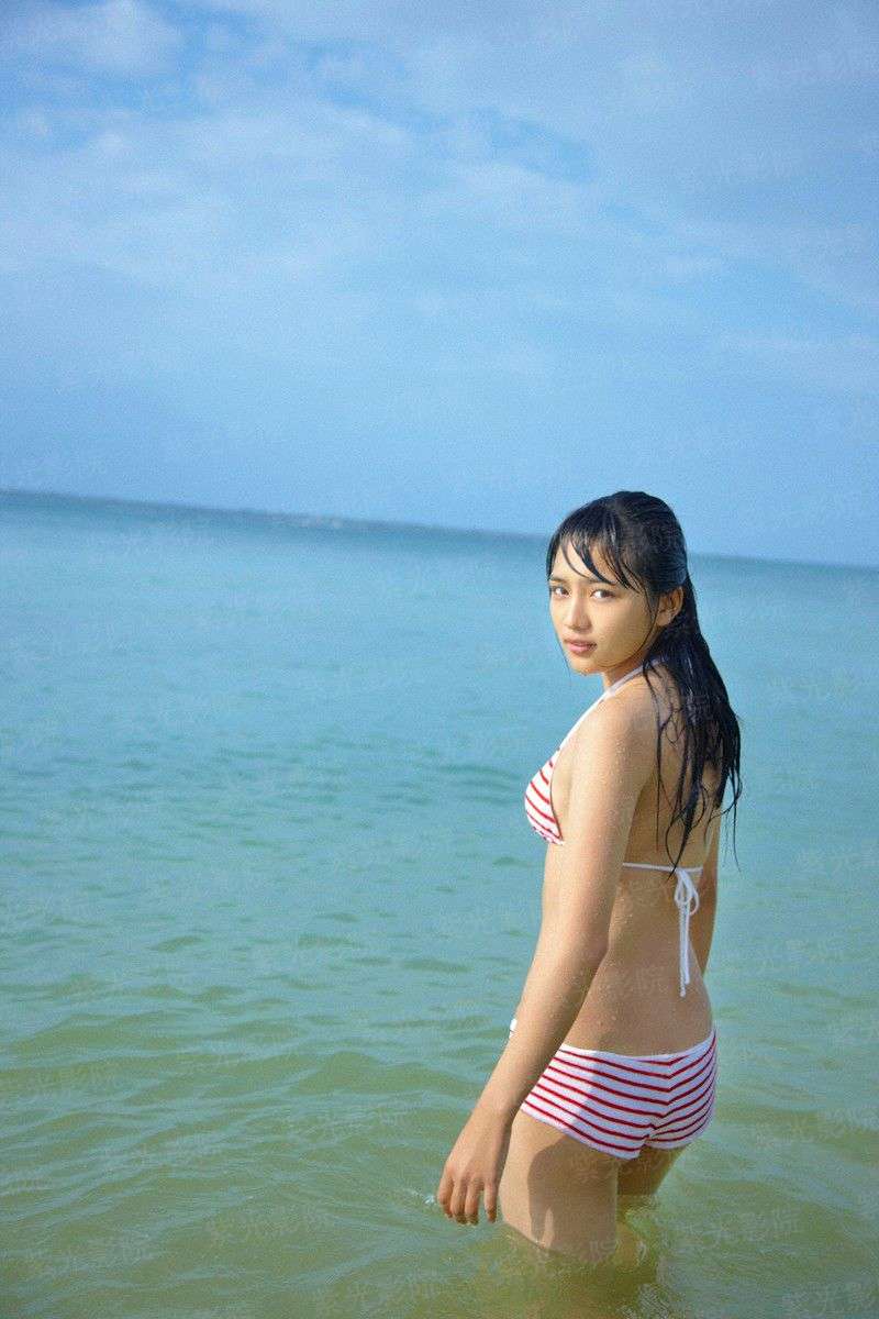 神损情殇