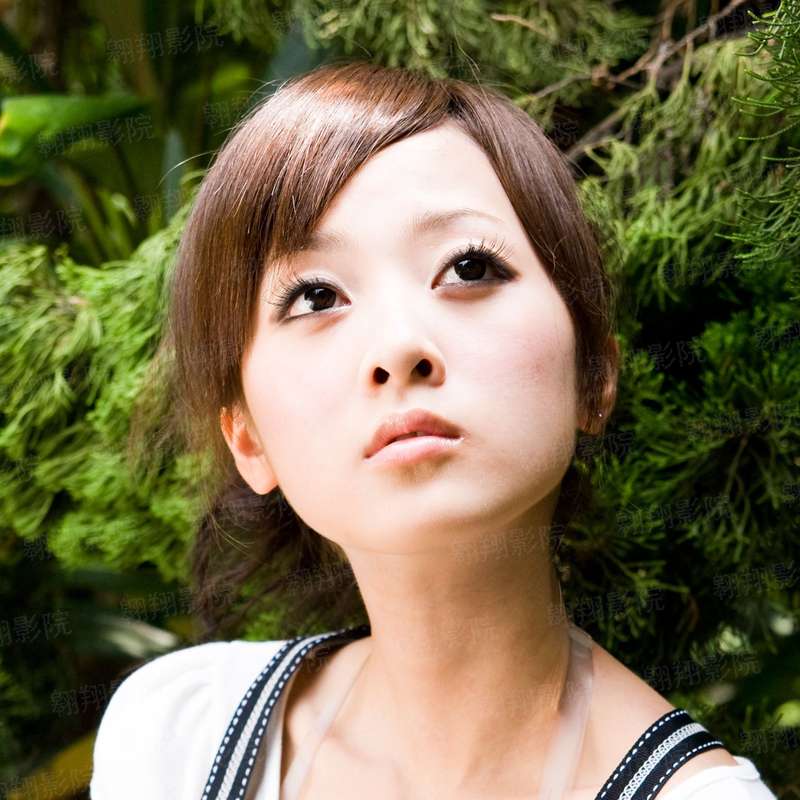 青蜂侠2011