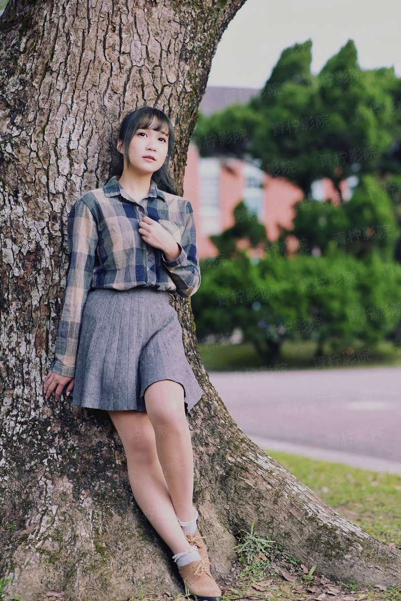 风抚樱落婷婷舞