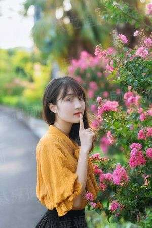 仲肯[预告片]