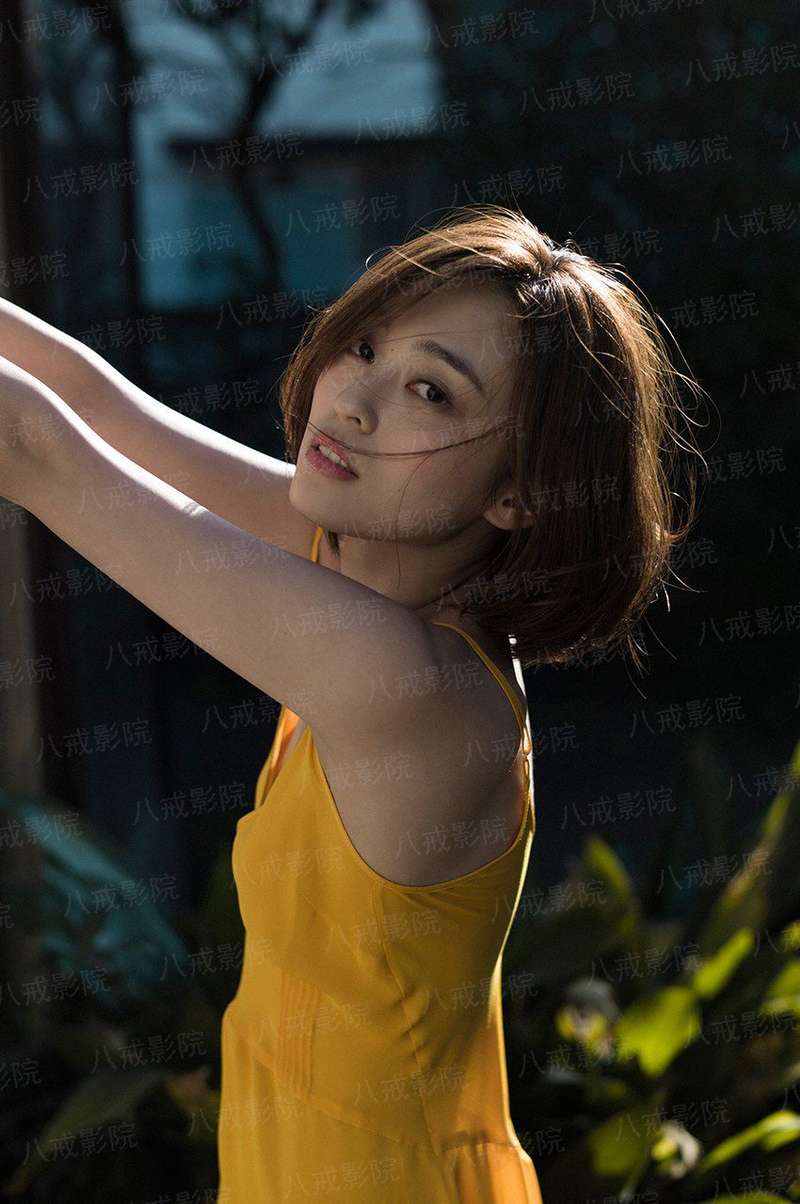 时光未散，流年未老