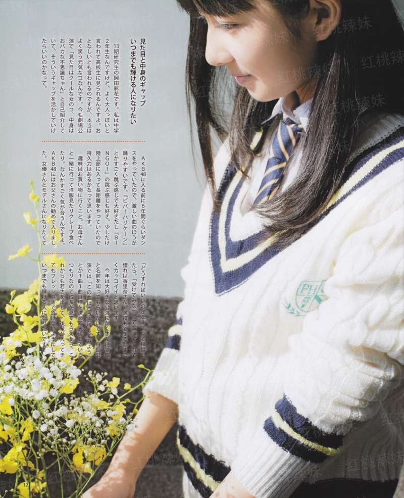 红娘见习录