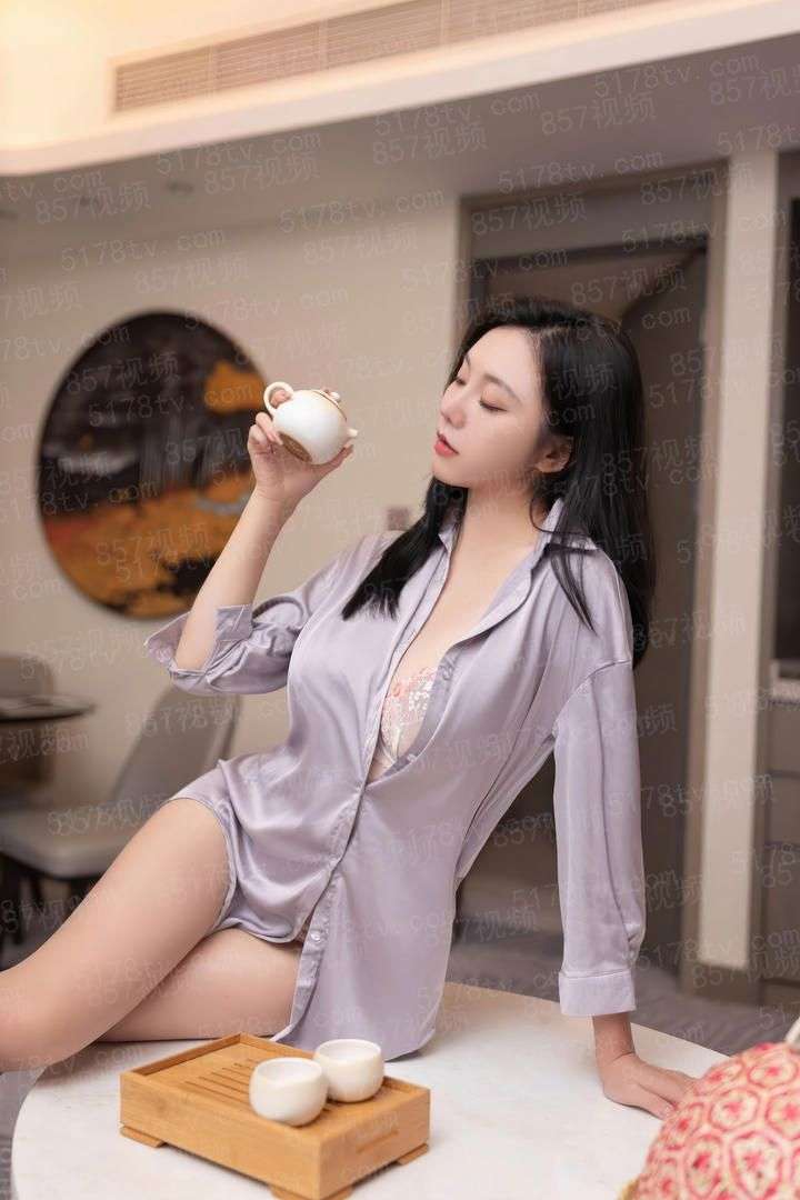 女总裁的透视狂兵
