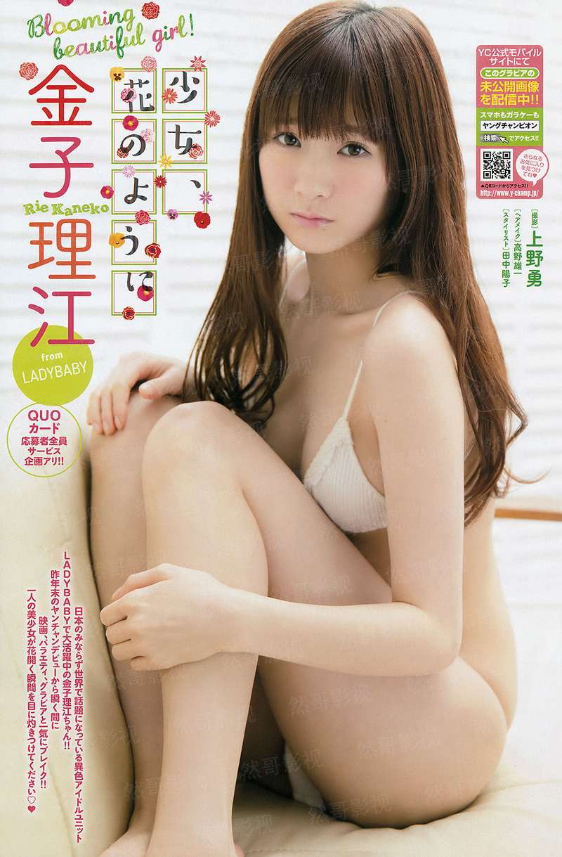 三国之大秦再起