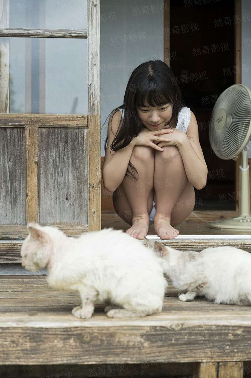 欢迎来做客