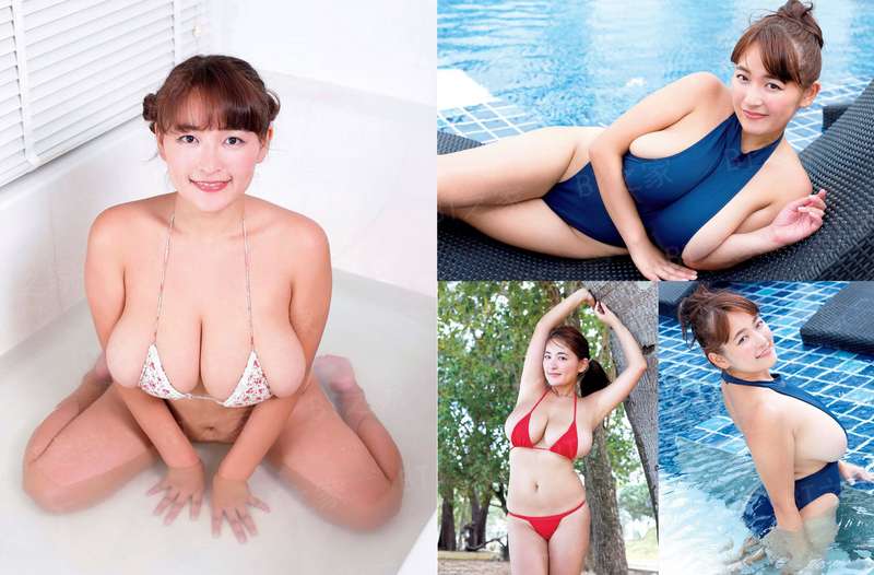 [综]斯塔克家的短腿胖橘