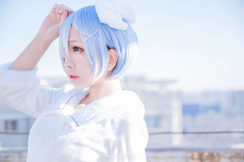 [暮光之城]未婚妈妈