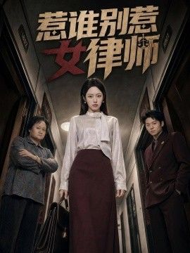 惹谁别惹女律师