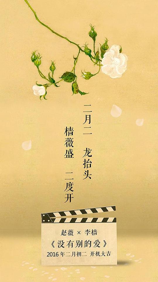蜂蜜的针