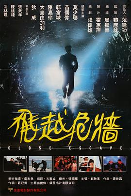飞越危墙国语