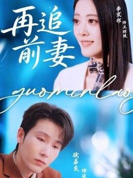 再追前妻