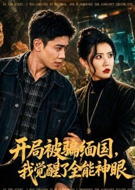 开局被骗缅国，我觉醒了全能神眼