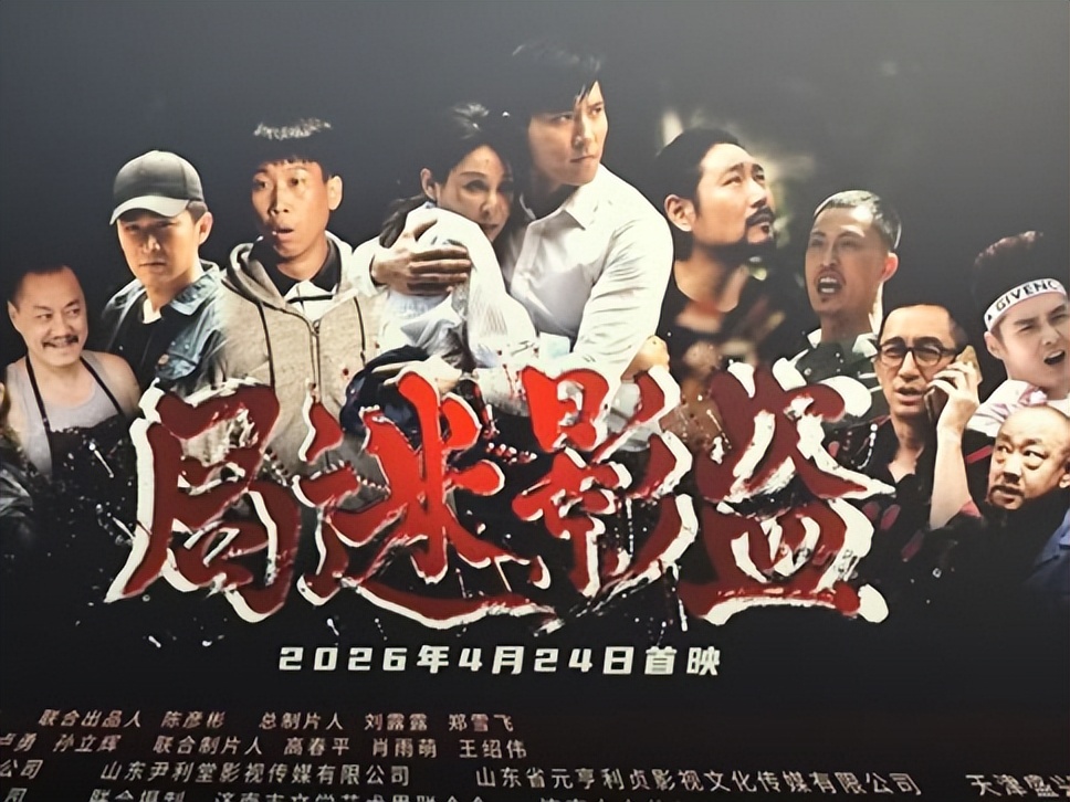 盗影迷局