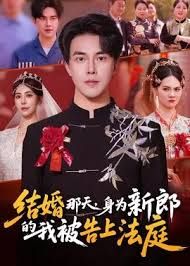 结婚那天，身为新郎的我被告上法庭