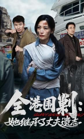 全港围剿：她继承了丈夫遗志