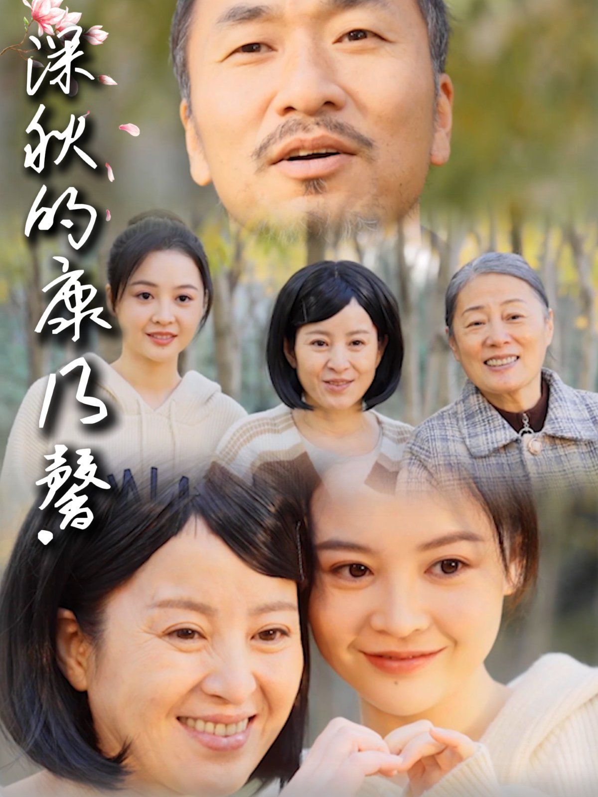 深秋的康乃馨