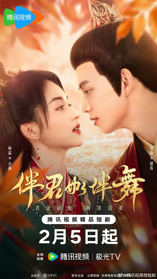伴君如伴舞