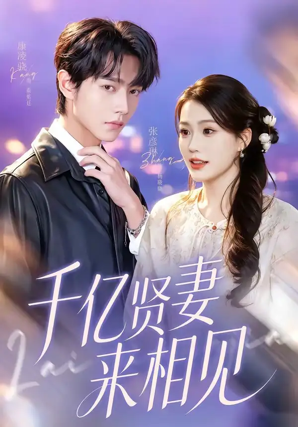 钻石贤妻来相见 千亿贤妻来相见