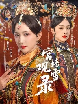宫墙观雪录